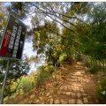 火炎山~相思花の旅