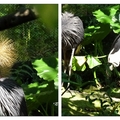 台北市動物園の旅