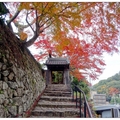 11月份到訪有馬溫泉，不僅泡湯散策逛街吃美食，還可賞六甲山沿線的楓紅。