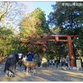 日~奈良公園の紅葉