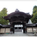 京都~東本願寺の銀杏