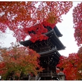 京都~真如堂の紅葉