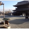 京都~東本願寺の銀杏