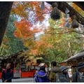 京都~嵐山秋楓の旅