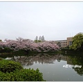 佐賀城公園位於日本九州佐賀縣境內，主要是由護城河圍繞其中，護城河兩旁植有整排櫻花木。

佔地約31.8公頃公園內有縣廳、佐賀城等文化設施。