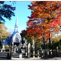 藥王院」坐落於東京都八王子市境內高尾山上，是座香火鼎盛的廟宇。 

為祈求佛法庇蔭東日本，於西元744年聖武天皇下令建立高尾山藥王院。

