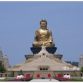 佛陀紀念館の九重葛