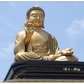 佛陀紀念館の九重葛