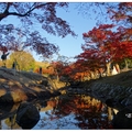 日~奈良公園の紅葉