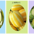 夏日~香瓜の美味