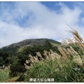 大屯山~連峰の芒花