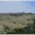 大屯山~連峰の芒花