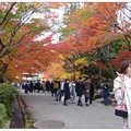 京都~南禪寺の紅葉