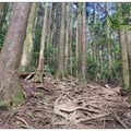 苗栗~加里山の步道