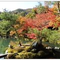 京都~天龍寺の紅葉