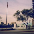Grand Park隨拍 (洛杉磯市中心)