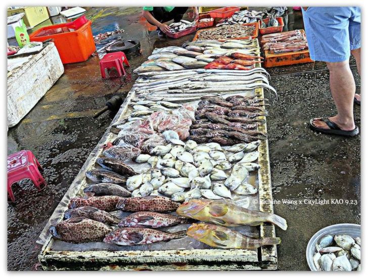 高雄旗津中洲海鮮採買 夏季美食紀實15 09 23fd 中洲渡船頭海鮮vs 旗津漁港觀光魚市漁獲寫真 飛魚 海蠍王 野孩子鄉居生活