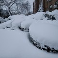 三月二十二日的雪景