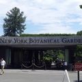 紐約布朗士植物園