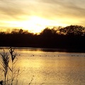 湖邊夕陽