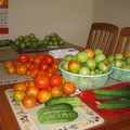 後院的蔬果
