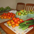 後院的蔬果