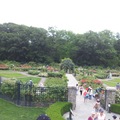 紐約布朗士植物園