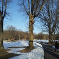 公園雪景
