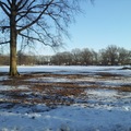 公園雪景