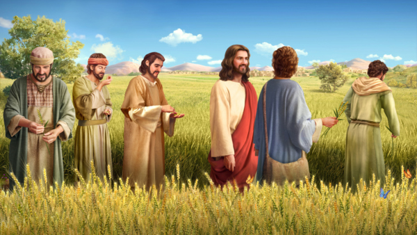 主耶穌與门徒在安息日掐麦穗吃