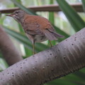 植物園2014.12.21.