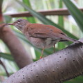 植物園2014.12.21.