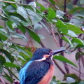 植物園2014.12.21.