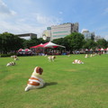 2014.06.21.中正公園