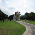 2014.06.21.中正公園