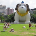 2014.06.21.中正公園