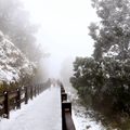 2021太平山追雪