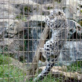 多摩動物園