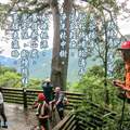 馬崙山，高2305米，谷關七雄排行老二。單程7K，沿途林相優美、生態豐富，有伐木留下之新山遺址，步道建設與標示完整，為五星級的登山步道。