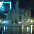 台中公園噴水池