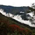 太平山山嵐