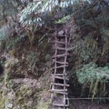 畢祿山06 5K+處之木梯