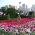 2012香港花卉展