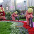 2012香港花卉展