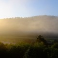 美國加州《紅木國家公園》-身在山嵐雲霧間,紅木國家公園內的渡假租屋Redwood Coast Vacation Rentals - 1