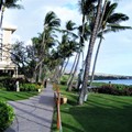 美國夏威夷州《茂宜島》-住人也住動物的渡假村 茂宜島凱悅度假村Hyatt Regency Maui Resort and Spa - 2
