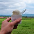 日本《北海道》【二世谷】-蝦夷富士山下追花喝牛奶(必須的) 高橋牧場Takahashi Dairy Farm - 1