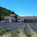 法國《普羅旺斯》【天空之城】-薰衣草的故鄕 塞農克修道院Sénanque Abbey, 薰朵葆Le Château du Bois - 2