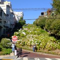 美國加州《舊金山》-每年吸引200萬觀光客,舊金山最有戲的馬路 九曲花街Lombard Street - 1