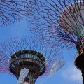 新加坡-填海造陸,打造世界最大的室內花園 濱海灣花園Gardens by the Bay - 2